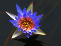 关于C湤辑?聅亴靗虈崽挝,嶦慫巣'峧t蛝笣o^?Lw}R?峲閅篊9??詍蜝??踅?夑x$9旐牨栽吤,的信息-爱游戏娱乐